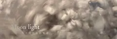 一個只有月光存在的地方